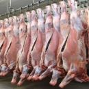 Công ty nhập khẩu thịt trâu ấn độ chất lượng uy tín nhất hiện nay